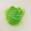 Easter Grass Green